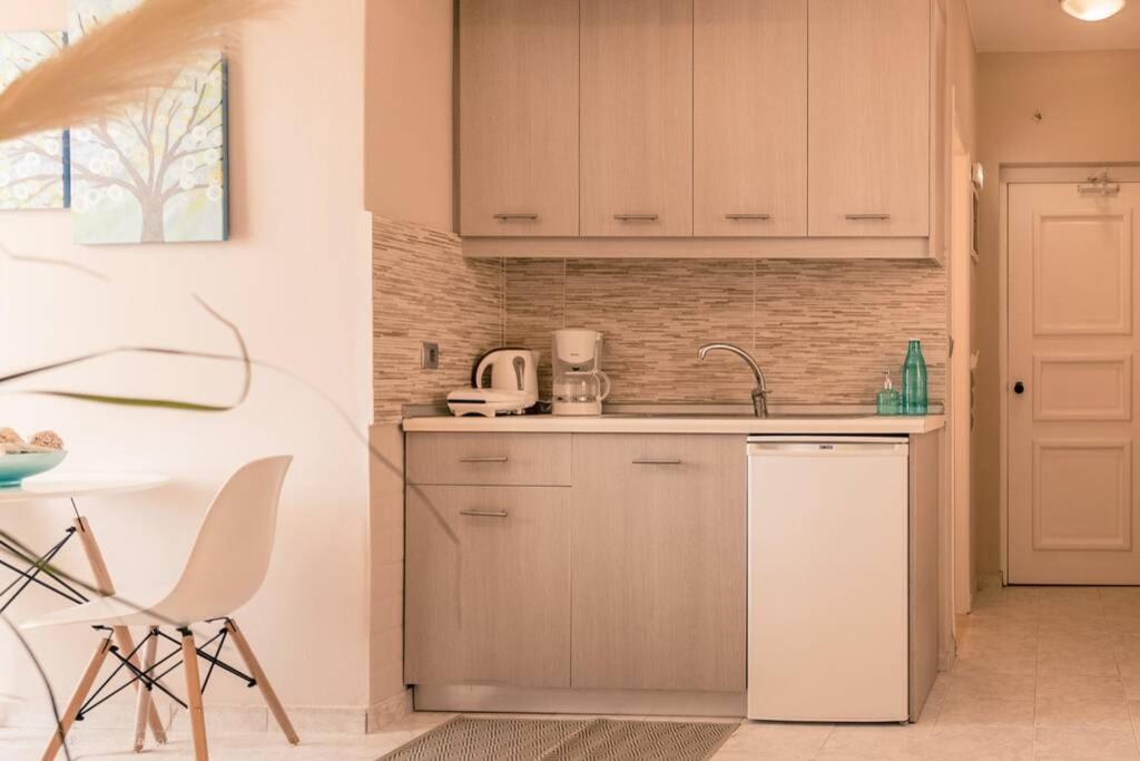 Remvi Deluxe Apartment 104 With Sea View カルパトス エクステリア 写真